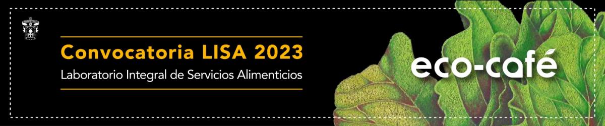 Convocatoria LISA 2023 b