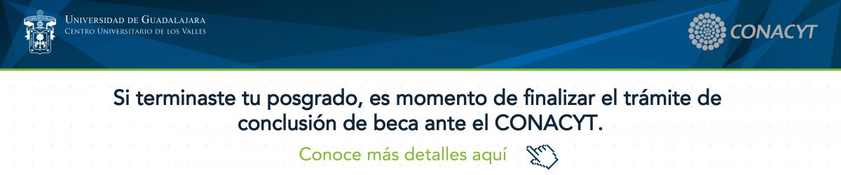 Trámite de Conclusión de la Beca CONACYT