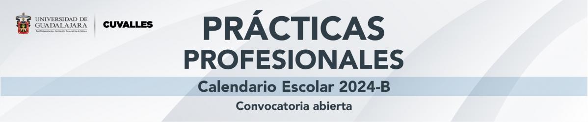Prácticas Profesionales - Calendario Escolar 2024 B-