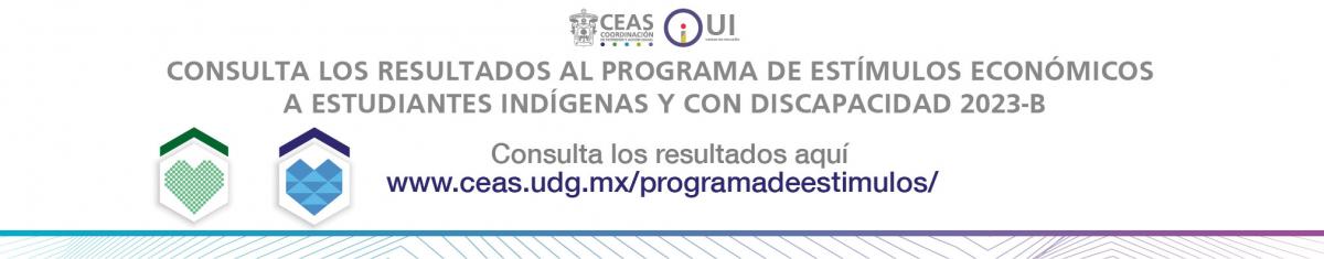 Resultados programa de estímulos económicos a estudiantes indígenas y con discapacidad  2023 b