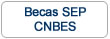 Botón abrir información sobre becas SEP