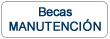 Botón abrir información sobre becas de manutención